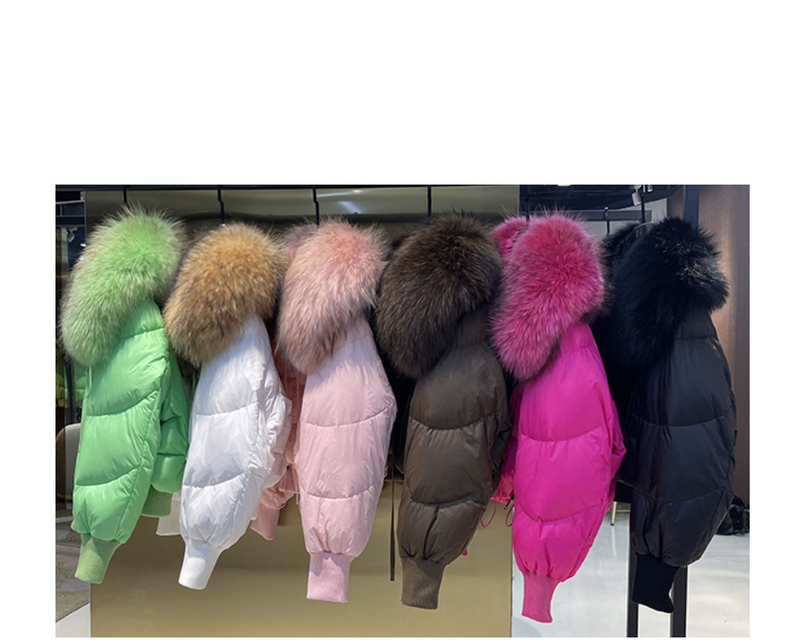 Versione europea 2023 Inverno Nuova Luce All-match Grande Collo di Pelliccia delle Donne Allentate a Maniche Lunghe Pane Versione Coreana Giù_voghion.com