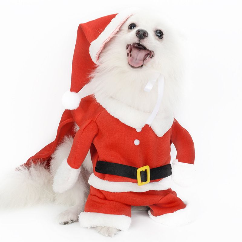 3D Set Hut Hund Transformation Outfit Zurück Weihnachten Baum Druck Haustier Kleidung_voghion.com