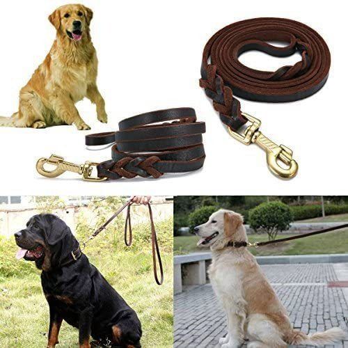 Top Layer Medium And Large Leash Malinois German Shepherd Genuine Leather Dog Chain Cowhide Pet Supplies_voghion.com