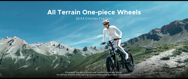 Bicicleta eléctrica de montaña ENGWE ENGINE X 20 de 4 pulgadas con neumáticos anchos, 250-750 W, 48 V, 13 A, almacén de la UE._voghion.com