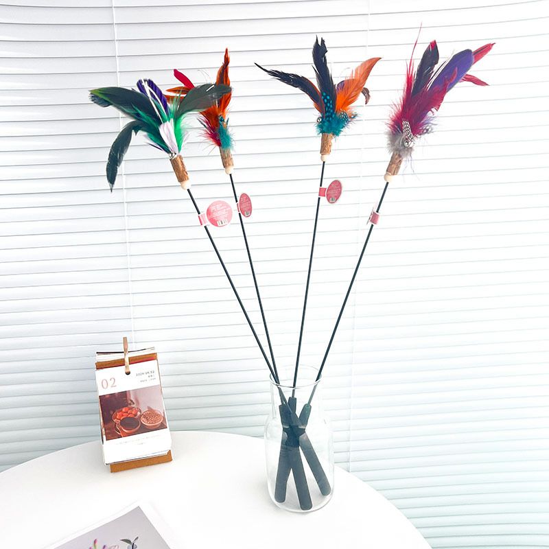 New Wooden Wand With Feather, Extended Teaser Rod, Cat Scratching And Chewing Toy_voghion.com
