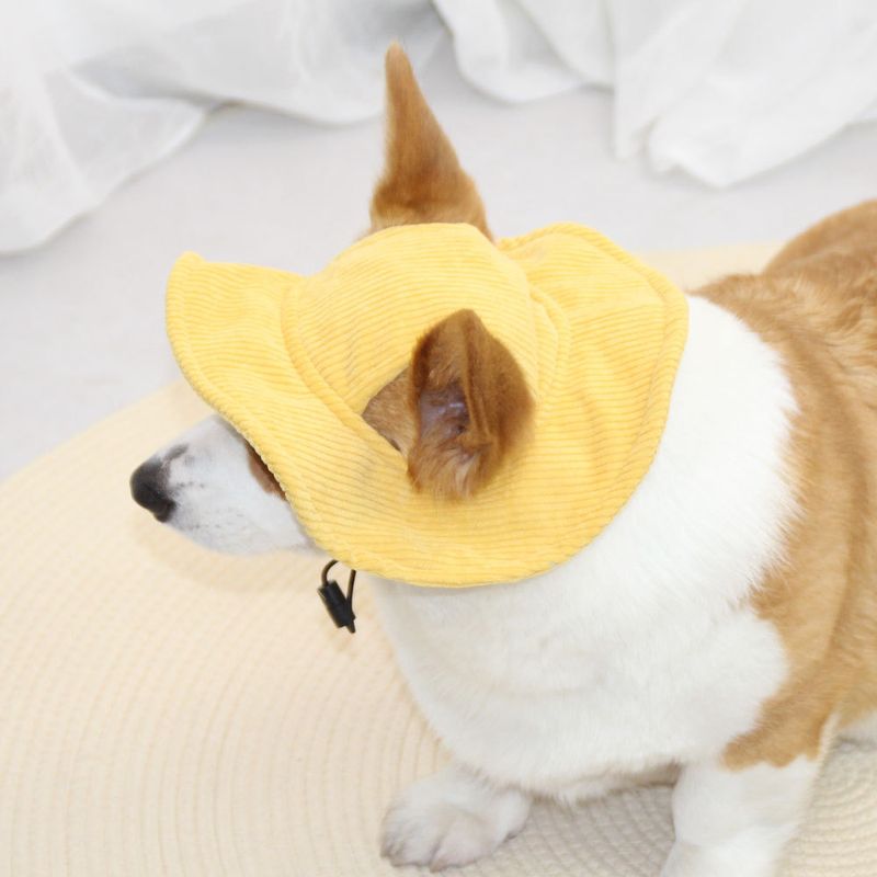 È un simpatico cane con le orecchie scoperte, costume da pescatore con parasole, protezione solare, cappellino giallo._voghion.com