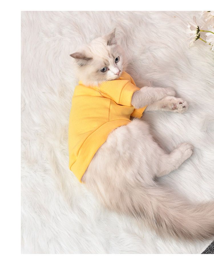 Nuovo orsacchiotto per cani, abbigliamento a due zampe per autunno e inverno, abbigliamento per gatti_voghion.com