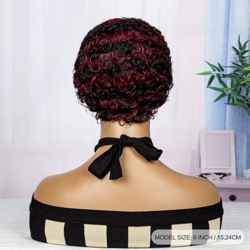 Short Afro Kinky Curly Wigs For Black Women Human Hair Wig Pixie Cut Wig Natural Black Color 100% Brazilian Virgin Hair Short Human Hair Curly Wigs_voghion.com