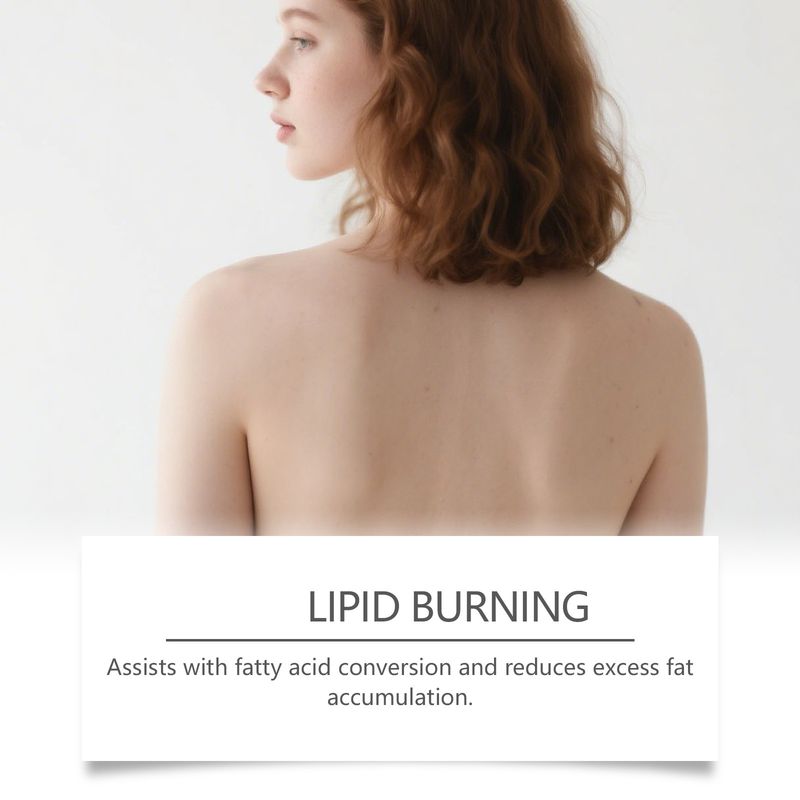 LANISKA Kudzu Flower Body Care Lightweight And Easy To Absorb Non-Sticky Skin Suitable For Daily Spray_voghion.com