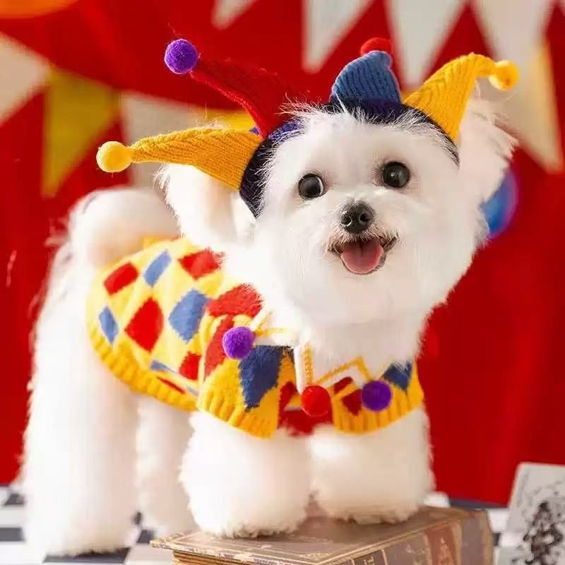 Autumn And Winter Cute Funny Crazy Circus Clown Sweater Halloween Cat Set Pet Dog Clothes_voghion.com