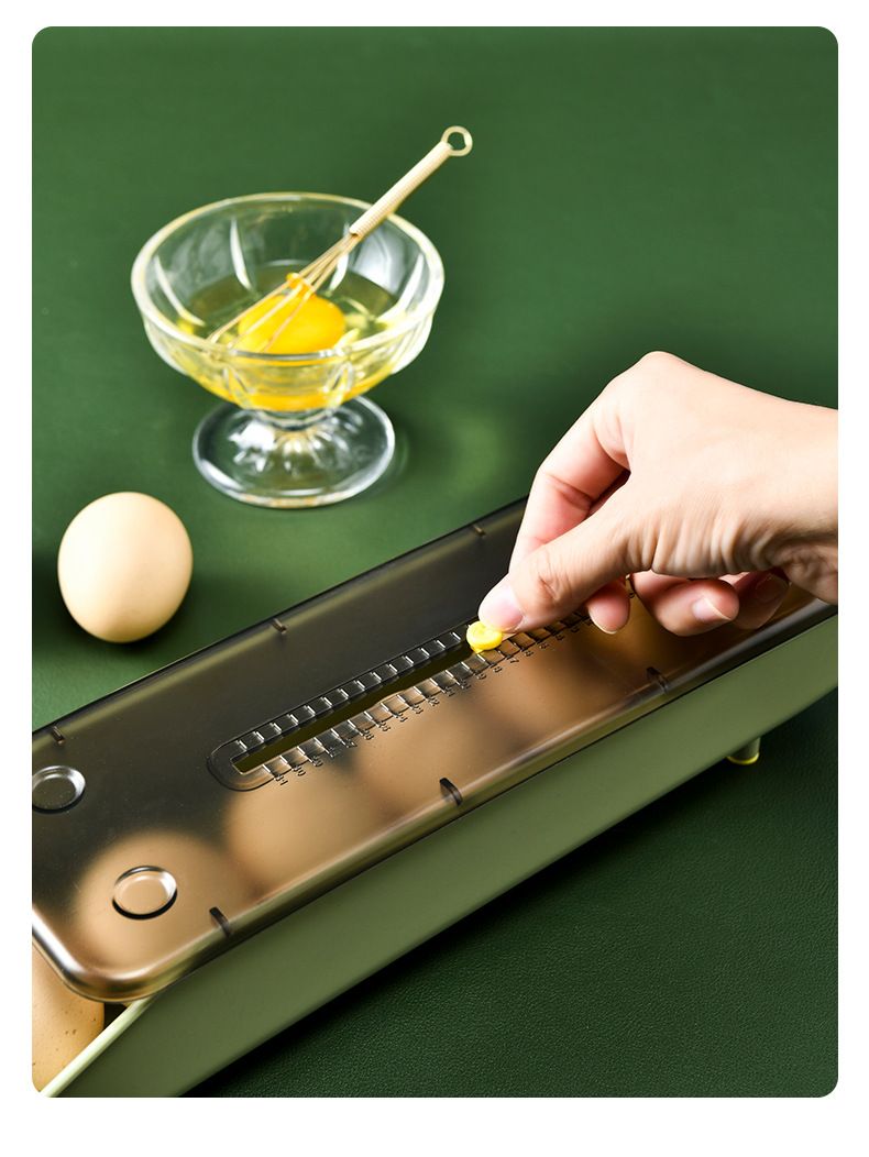 Refrigerator Fresh-Keeping Storage Creative Automatic Roller Household Kitchen Portable Egg Box Shockproof Anti-drop_voghion.com