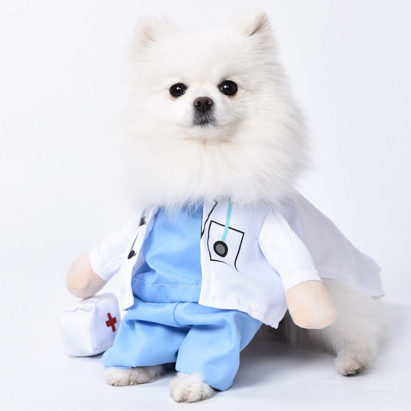 Costume da dottore divertente di Halloween in piedi, per trasformare un animale domestico, per cane o gatto, eccentrico e verticale_voghion.com