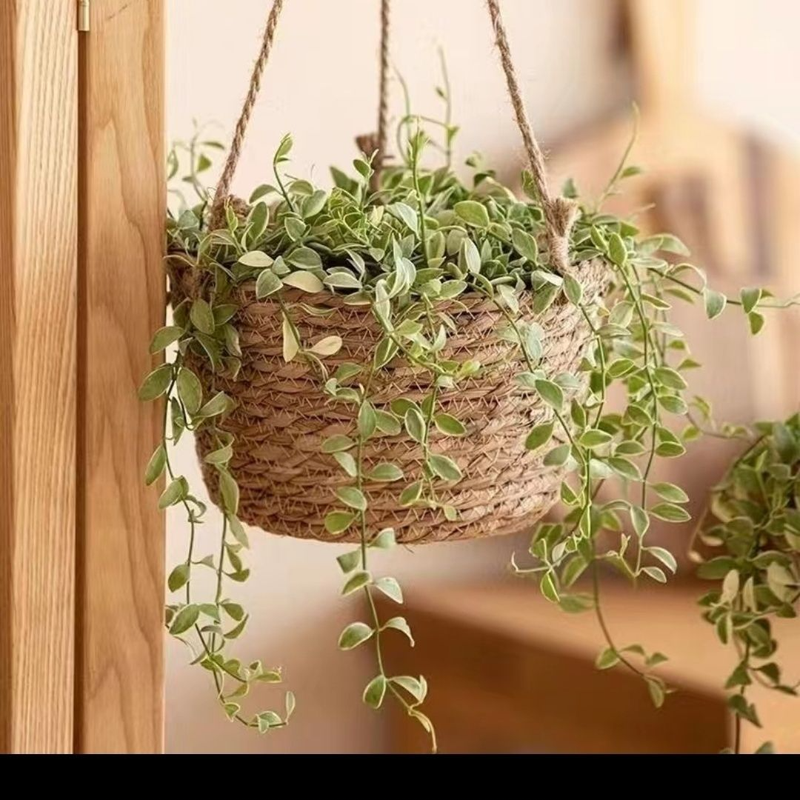 Hanging Plants, Baskets, Hanging Pots_voghion.com