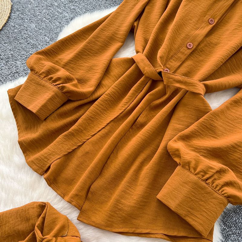 Women's Clothing Light Mature Style Casual Tie Waist Long Sleeve Single Breasted Shirt High Waist Wide Leg Straight Pants Loose Feeling Two Piece Set_voghion.com