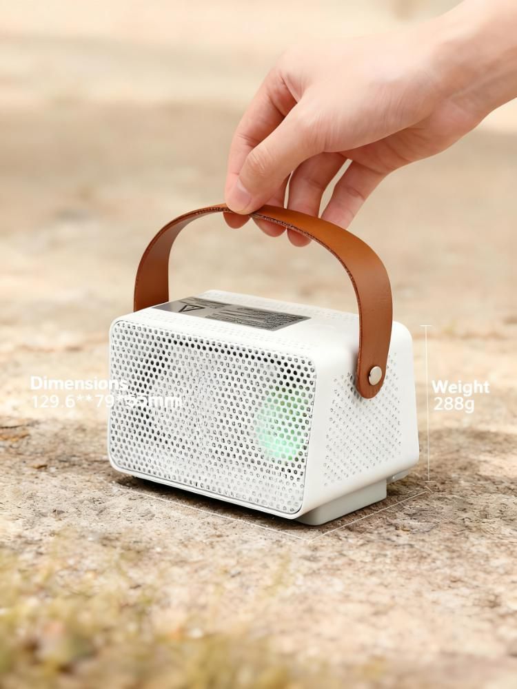 OzonePro Car & Home Disinfectant Generator - 99.99% Sterilization, Odor Removal_voghion.com