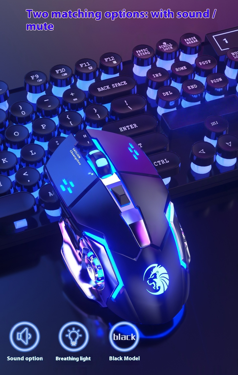 Wired Gaming Mouse – 6D RGB, 3000DPI, 4-Speed Adjustable, Silent/Audible Clicks, Ergonomic (Black/White/Blue/Pink)_voghion.com