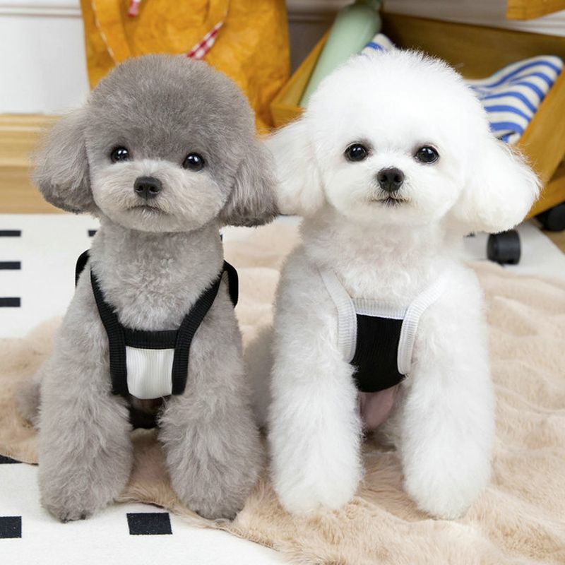 Dünne Sommerweste, atmungsaktiv, für kleine Hunde, Kleidung für Chihuahuas, französische Bulldoggen, Haustierbedarf von PawParty Store_voghion.com