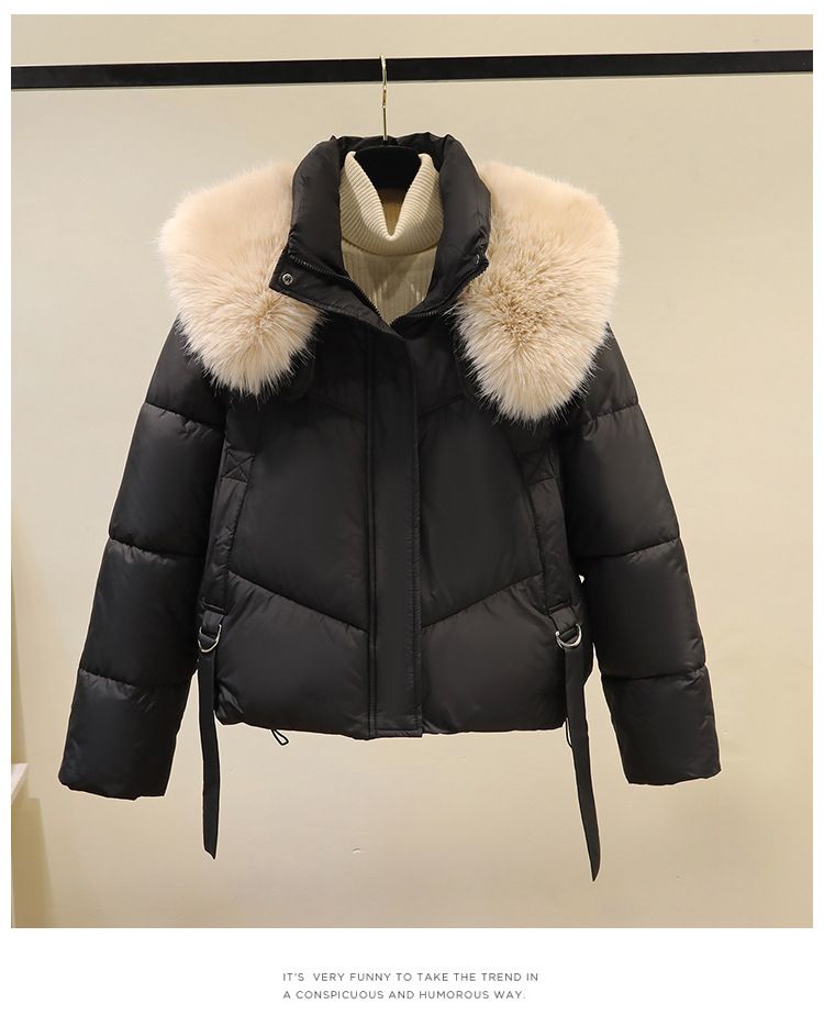 Women's Short Cotton Jacket With Large Fur Collar – Petite Winter Coat (Black/White/Espresso/Violet)_voghion.com