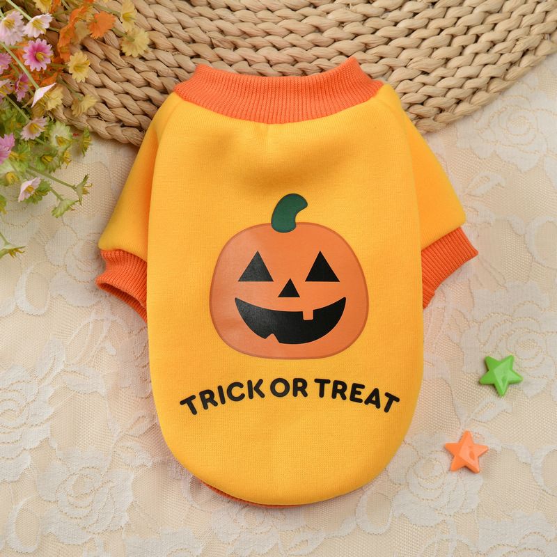 Felpa con cappuccio per cani di piccola taglia, autunno e inverno, con teschi e zucche di Halloween in saldo_voghion.com