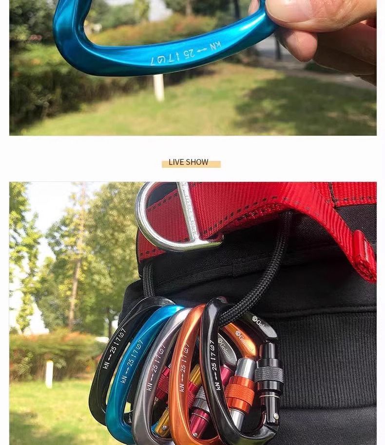 Gorm Professional Climbing Master Lock Hook 9203 Outdoor-Quickdraw-Karabiner Sicherheits-Aluminiumlegierung D-Typ Hängeschnalle_voghion.com