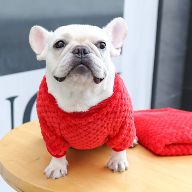 Ropa para perros pequeños y grandes, ropa para gatos, otoño e invierno, nuevos suministros para mascotas, ropa de vellón, método, cubo, ropa de dos patas, cuadros_voghion.com