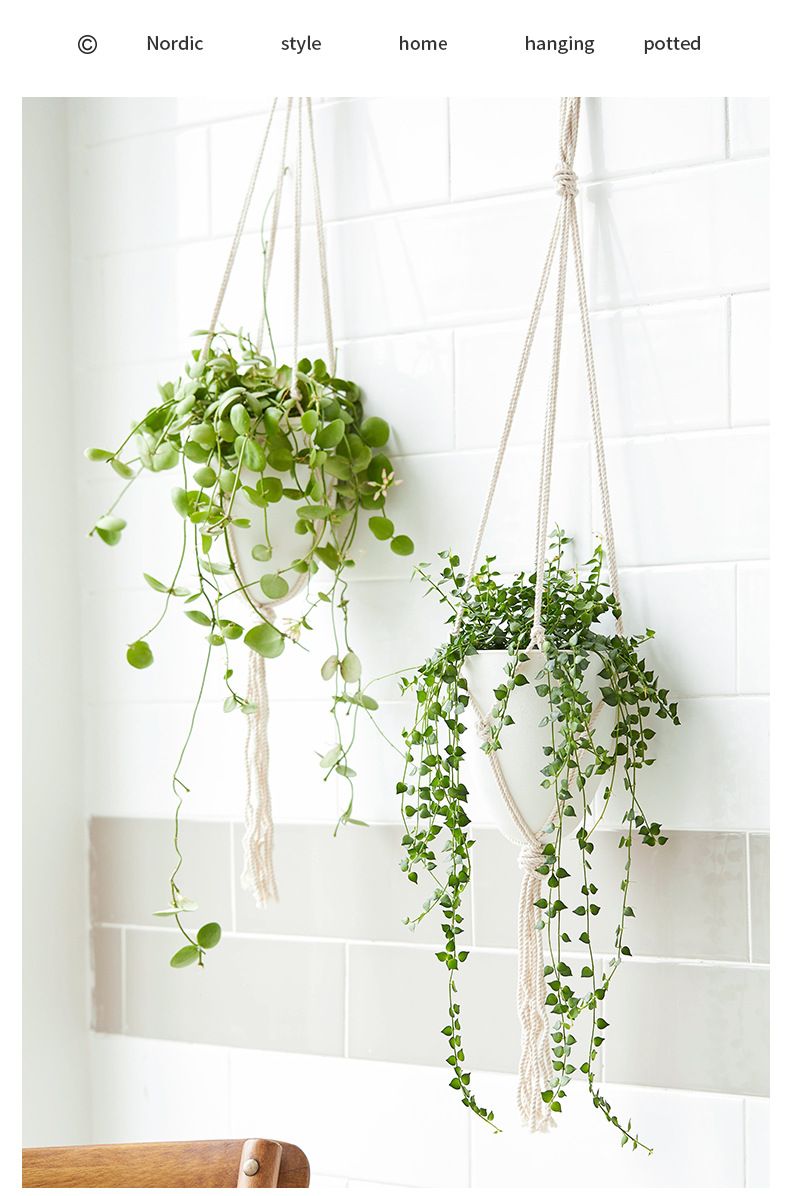 Gartenbedarf Lazy D Hängender Blumentopf, Automatische Wasseraufnahme, Mattierter Dekorativer Hängender Blumentopf, Kunststoff-Wasserspeicher-Blumentopf_voghion.com