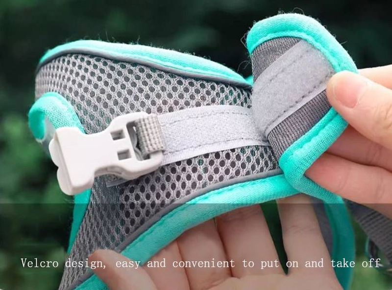 Corde de remorquage automatique universelle de 5 mètres pour chat et chien, gilet réfléchissant, respirante et confortable, pratique à utiliser_voghion.com
