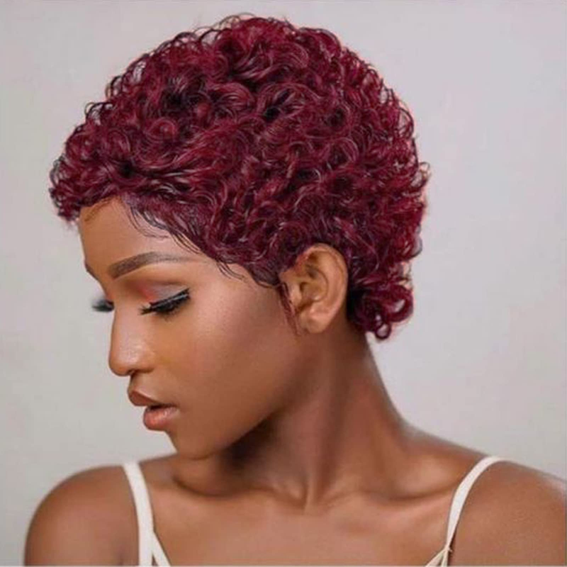 Short Afro Kinky Curly Wigs For Black Women Human Hair Wig Pixie Cut Wig Natural Black Color 100% Brazilian Virgin Hair Short Human Hair Curly Wigs_voghion.com