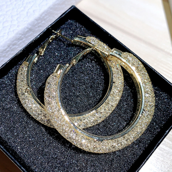 Designer's Alloy Colorless Inlaid Zircon Shining Earrings Exaggerate Trend Circle Style Earrings and Earrings for Women_voghion.com