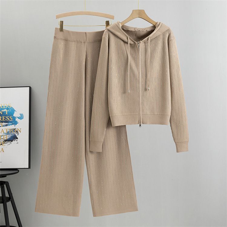 Damenbekleidung High-End-Mode Casual Sports für Frauen Herbst und Winter Hot Dia Kapuzenjacke Weite Beinhose_voghion.com