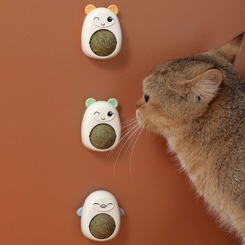 Guangying Catnip Ball Wall-mounted With Cover Paste Anywhere Increase Appetite Interactive Freshing Breath Catnip Wall Ball Cat Toy Pet Stuff_voghion.com