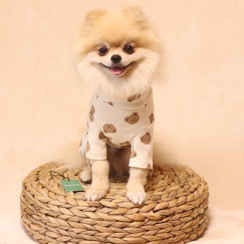 INS Korea Herbst Winter Nette Creme Bär Weste Warme Hund Hause Kleidung Baumwolle Haustier Klimaanlage_voghion.com
