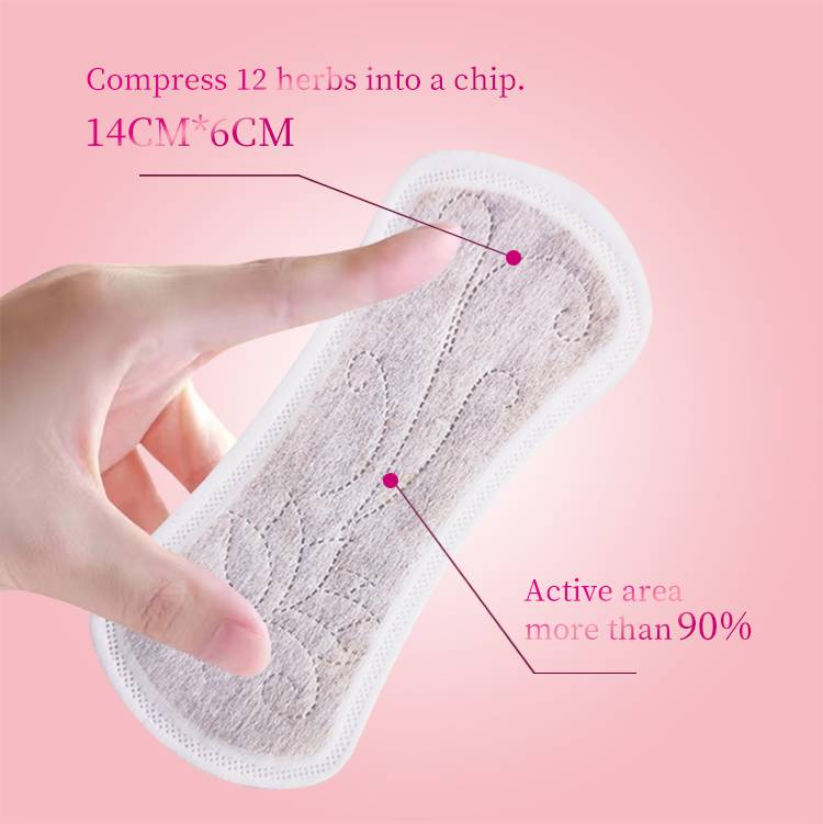 Prof.Ding Removing Itching And Odor Cleaning Natural Herbal Wingless Pads Period Pads For Women Menstrual Feminine Care_voghion.com
