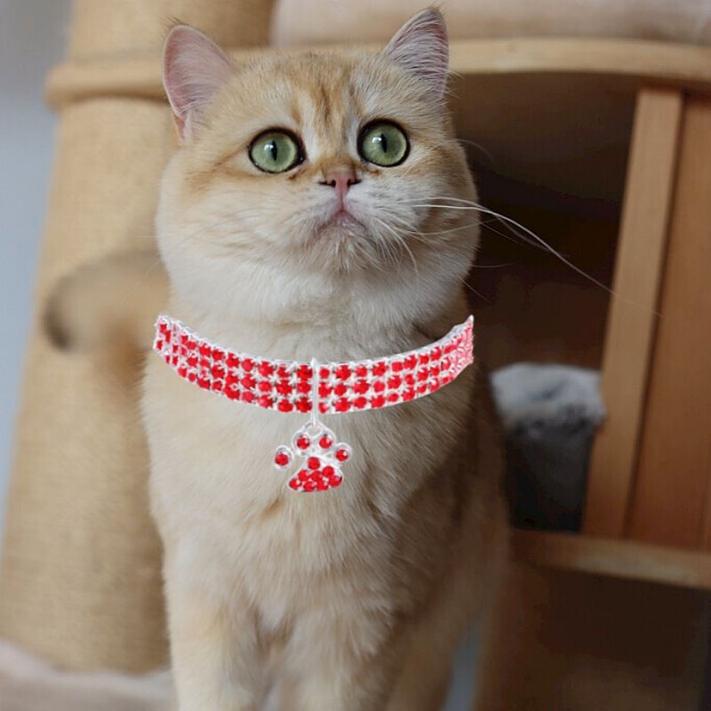 Colorful Alloy Footprint Pendant Pet Necklace Dog Chain Cat Collar Three Rows Of Elastic Rhinestone Pet_voghion.com