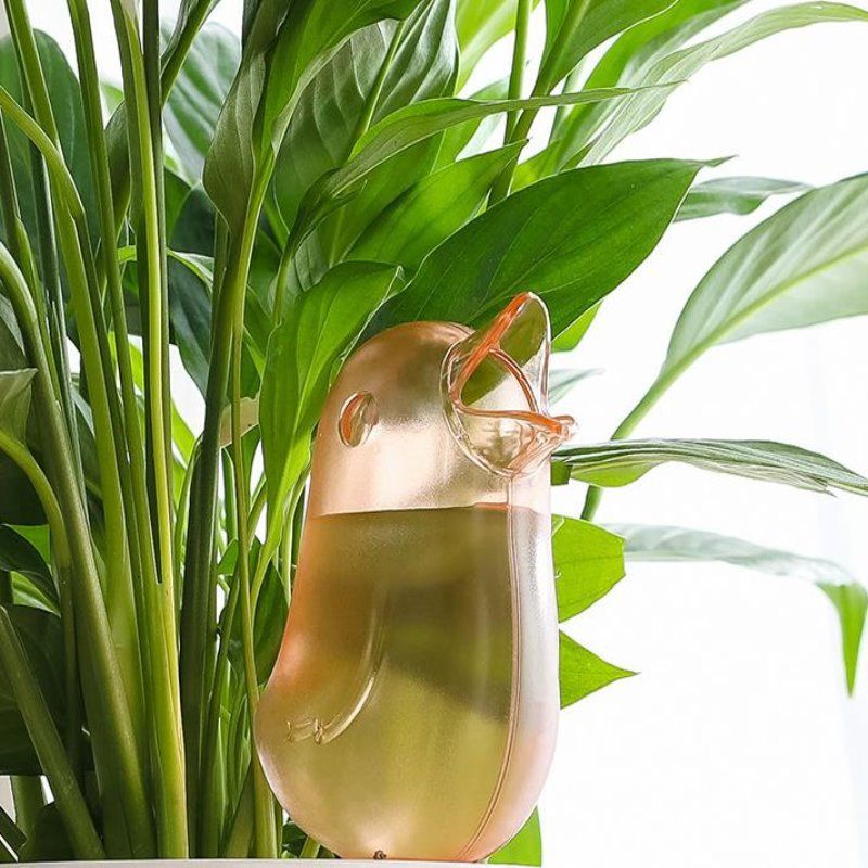 Korean-style Transparent Automatic Dripper Petal Flower Pot Automatic Watering Water Pot Bird-shaped Plant Lazy Flower Watering Kettle_voghion.com