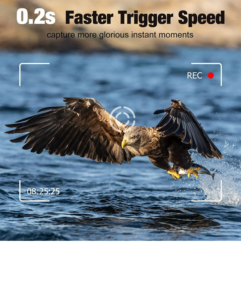 Utomhusjaktkamera Sport HD Nattseende 4G APP Vattentät Infraröd Detektion Jaktkamera HC 880PRO_voghion.com