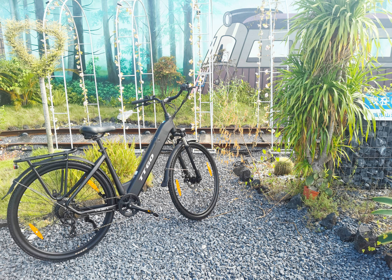 TTGOEBIKE 28 Zoll E-Bike Elektro Fat Tire E-Mountainbike, 36V20AH E Fahrrad Trekking\/City Pedelec Für Damen Und Herren_voghion.com