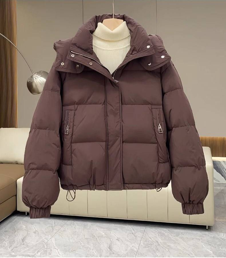 Winterjas voor dames – oversized jas met capuchon en dikke katoenen vulling (M-3XL, zwart/bruin/roze/beige/kaki)_voghion.com