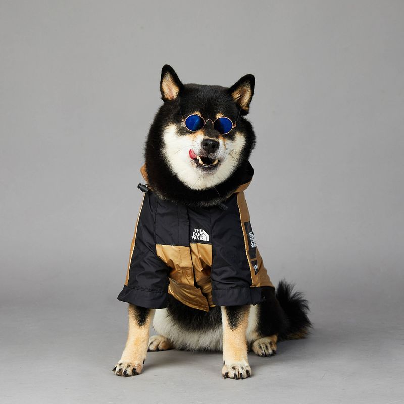 American Flag Tide Brand Windproof and Rainproof North New Dog Large Dog Raincoat Dog Pet Charge Clothes_voghion.com
