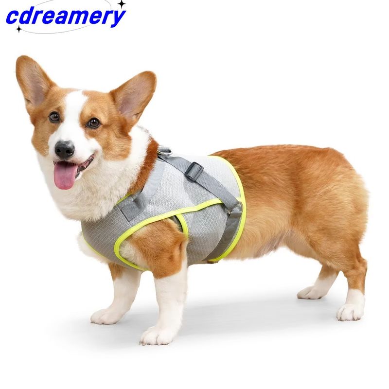 Giacca estiva in rete traspirante per cani, giacca antifreddo regolabile per cani di taglia grande e piccola._voghion.com