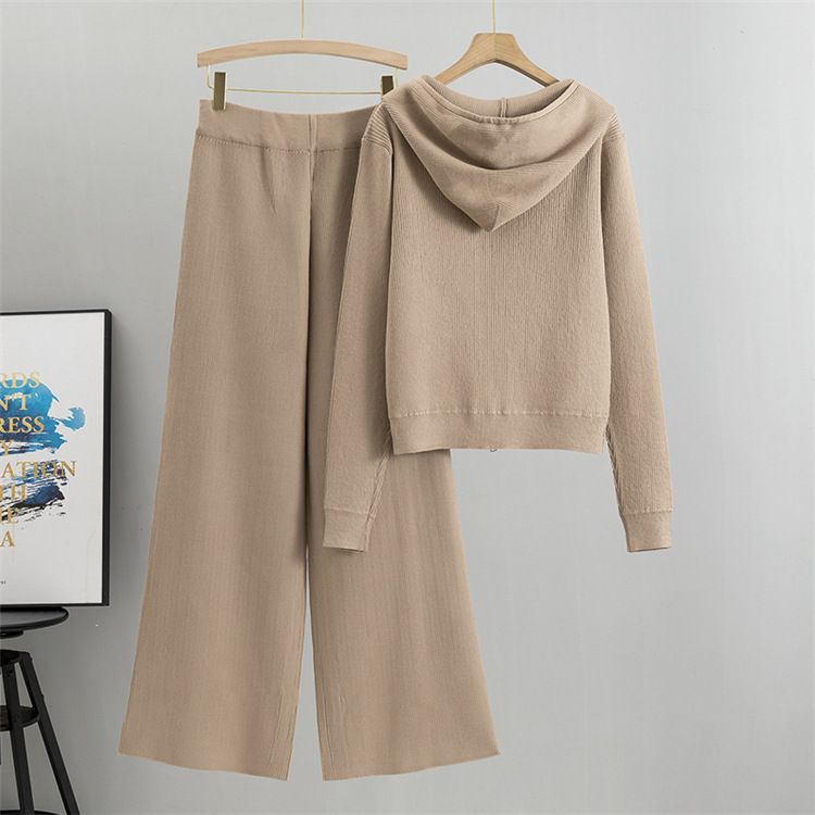 Damenbekleidung High-End-Mode Casual Sports für Frauen Herbst und Winter Hot Dia Kapuzenjacke Weite Beinhose_voghion.com