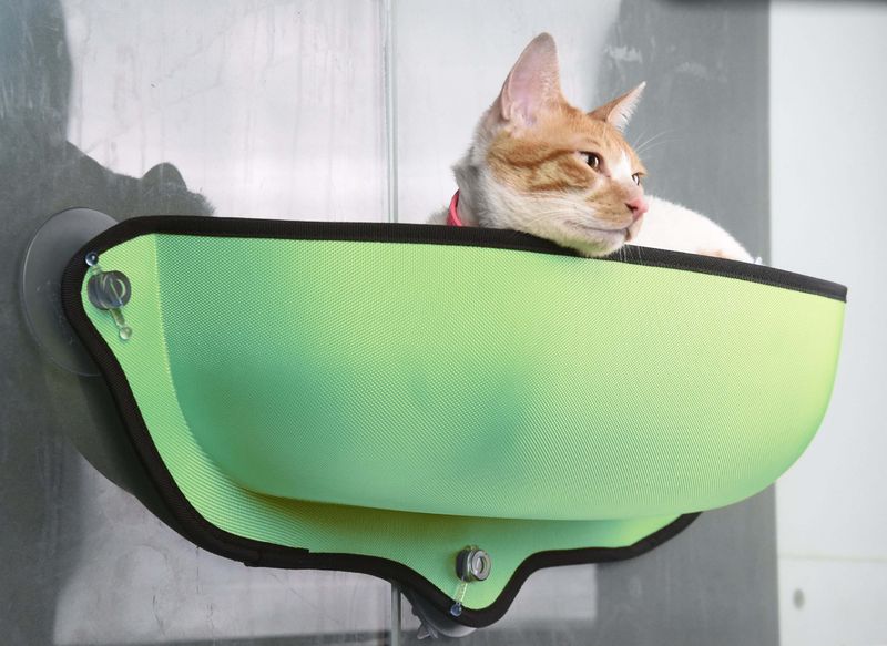 Pet Life 'Gravity-Lounge' Suction Cup Kitty Cat Lounger and Bed_voghion.com