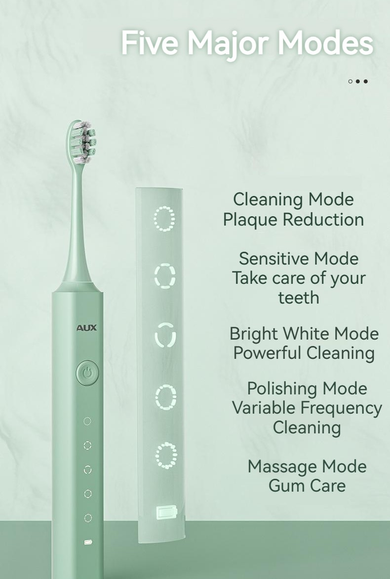Adult Sonic Rechargeable Electric Toothbrush With 5pcs Soft Bristles Replaceable Brush Head Portable Case_voghion.com