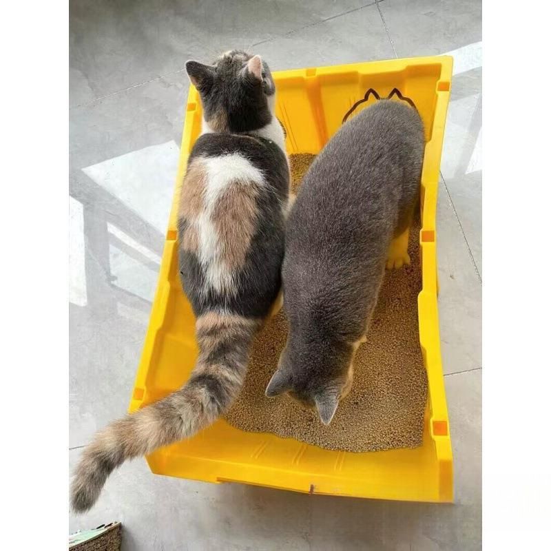 Bac à litière extra-large pour chat Maine Coon, grand récipient, entièrement ouvert, géant, par défaut_voghion.com