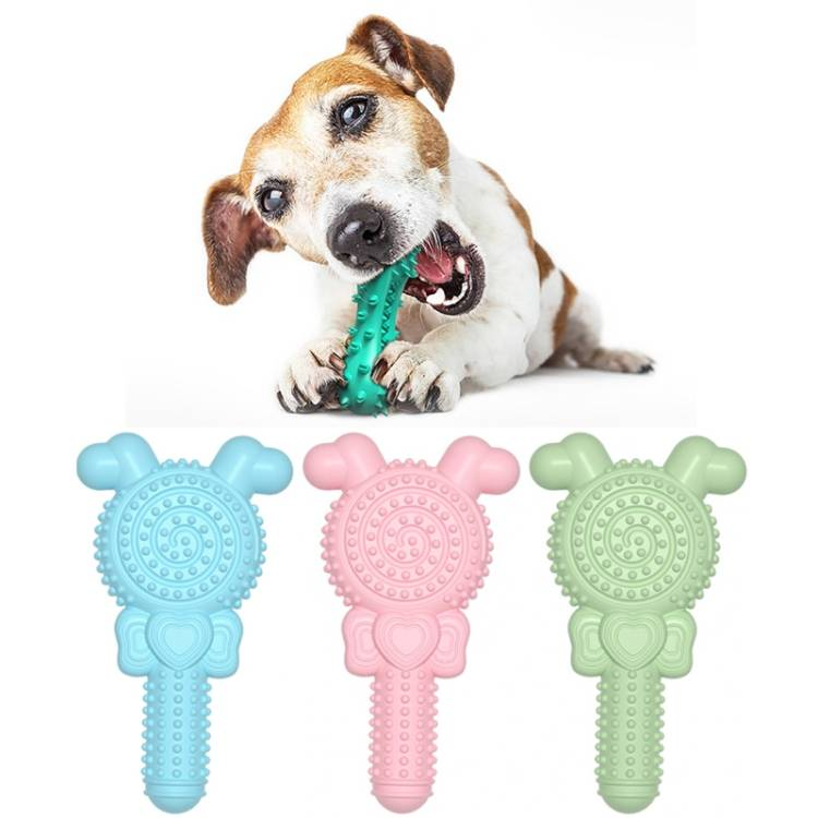 Lollipop Shape Dog Teething Stick Bite Resistant Pet Toys_voghion.com
