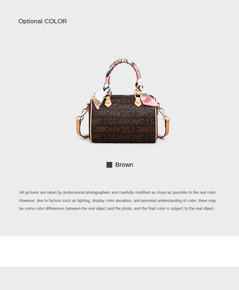 VINEY Women's Bags 2025 New Crossbody Women's Bags Boston High-end Hand-held Pillow Bags_voghion.com