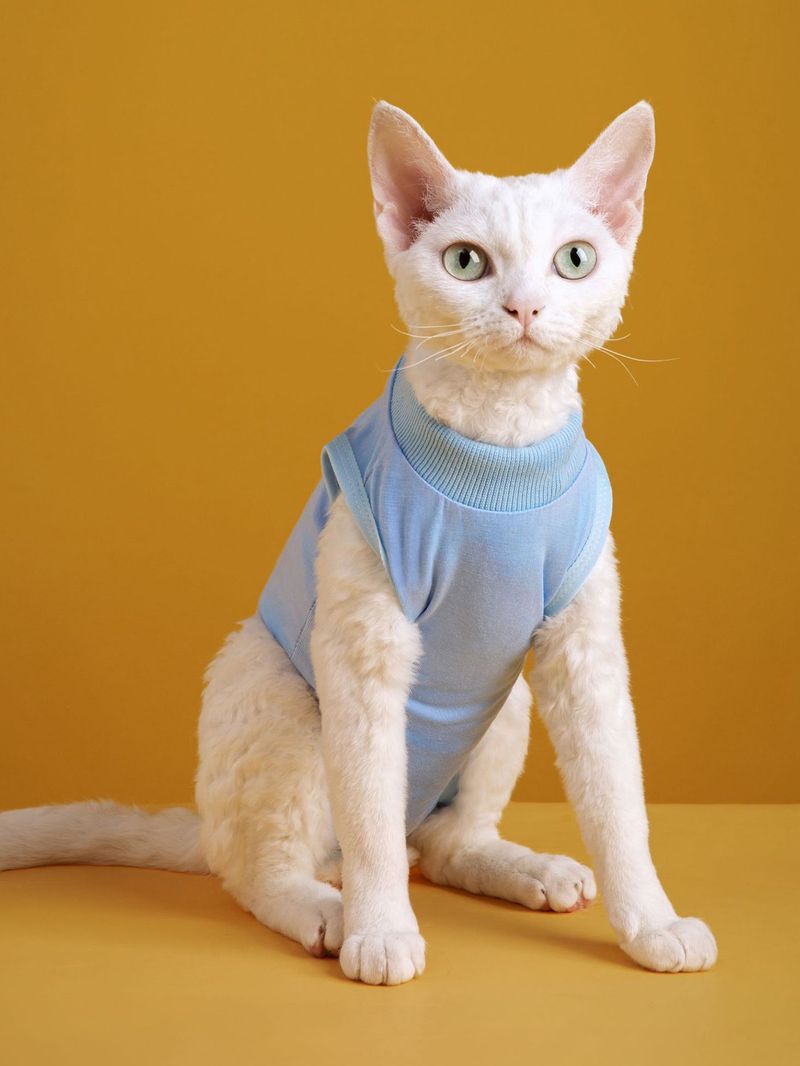 1 Piece Of Pet Cat Spay Recovery Suit, Anti-licking And Anti-biting, Suitable For Weaning, Soft, Skin-friendly And Comfortable Spay Suit_voghion.com