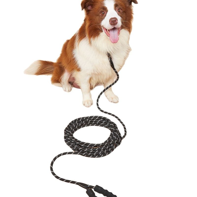 Guinzaglio per animali domestici, addestramento speciale per l'auto-aiuto esteso per passeggiate con il cane_voghion.com