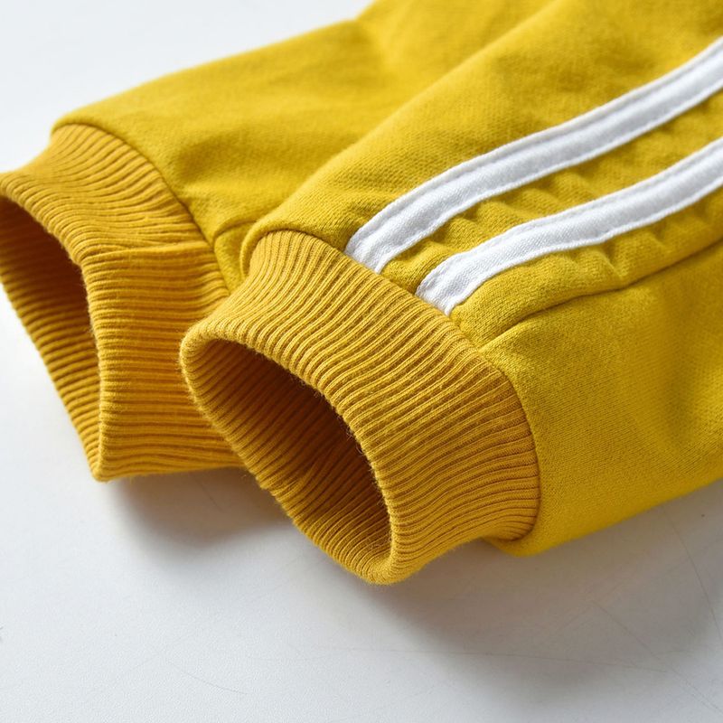 Kid's Clothing autumn new products children's clothing small and medium children's sweater two piece children's leisure zipper suit sportswear_voghion.com