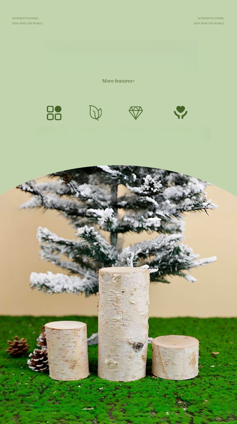 Tronc Segment naturel Souche d'arbre décorative solide Aménagement paysager Bouleau blanc Bois Pile Clôture Barrière Bûche Branche sèche_voghion.com