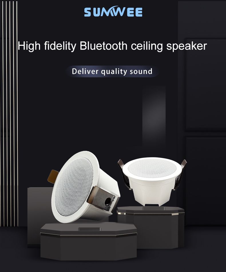 2 Inch Mini Home Audio Audience Bluetooth Ceig Speaker Stereo Sound Indoor Music Speakers Built In Digital Class D_voghion.com