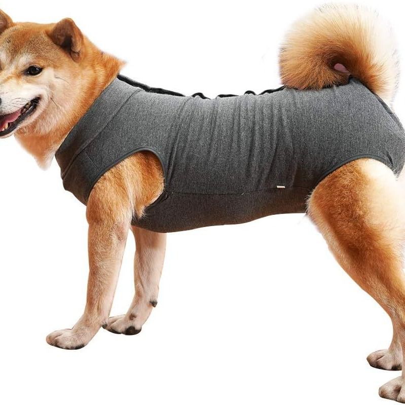 Colete de proteção fisiológica para cães, prevenção de lambidas e feridas, roupa para castração pós-cirúrgica_voghion.com