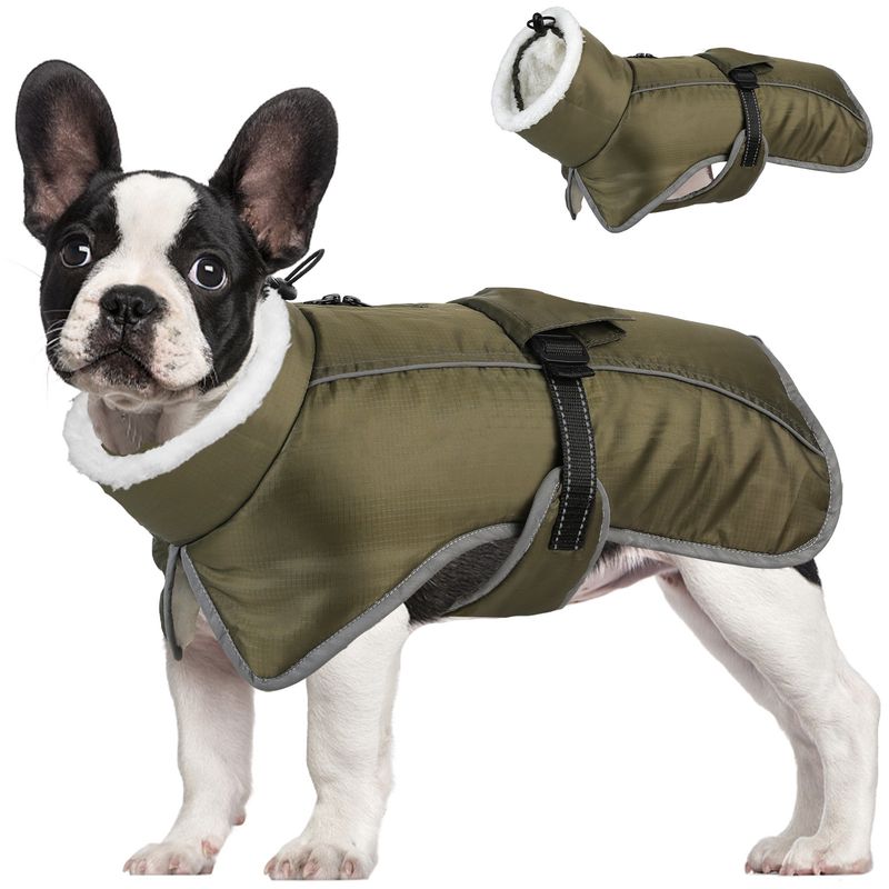 Ropa nueva de otoño e invierno, cálida, impermeable y resistente al frío, abrigo de algodón para mascotas, suministros para perros._voghion.com
