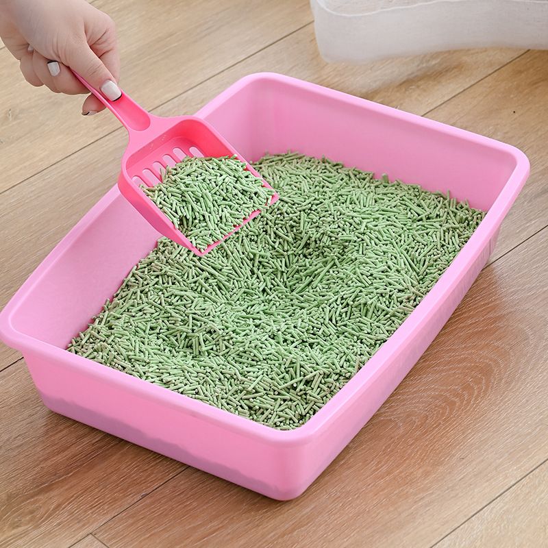 Lettiera aperta in plastica con ciotola e paletta per gatti_voghion.com